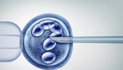 详细解读试管移植后白细胞高的原因，多和这几个因素有关